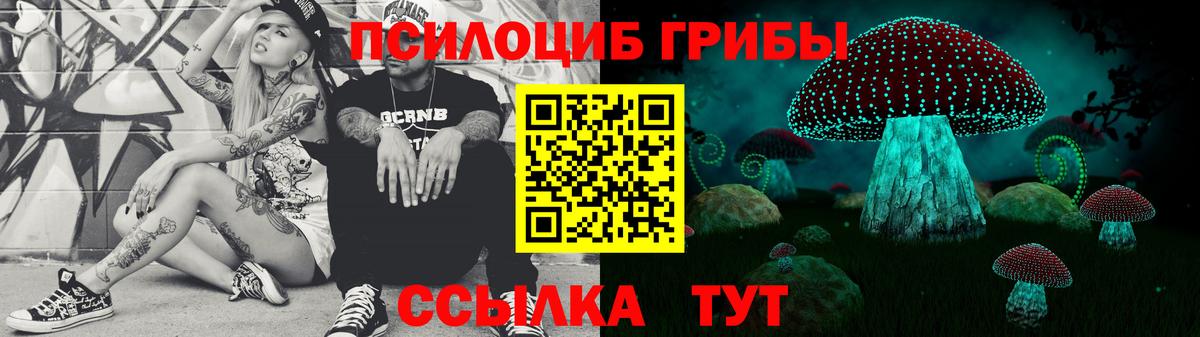 Псилоцибиновые грибы Psilocybine cubensis Уварово