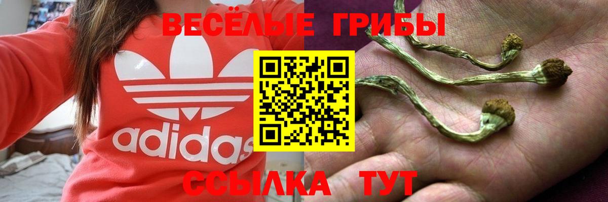 Уварово  закладки  Вход с VPN  Галлюциногенные грибы GOLDEN TEACHER 